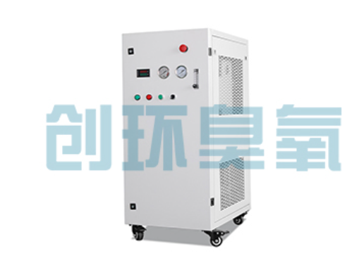 长治石斑鱼养殖水质调控完整指南：臭氧发生器配置与操作步骤