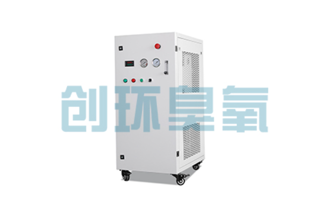 长治比传统换水更高效？臭氧发生器在石斑鱼养殖中的水质净化原理解析
