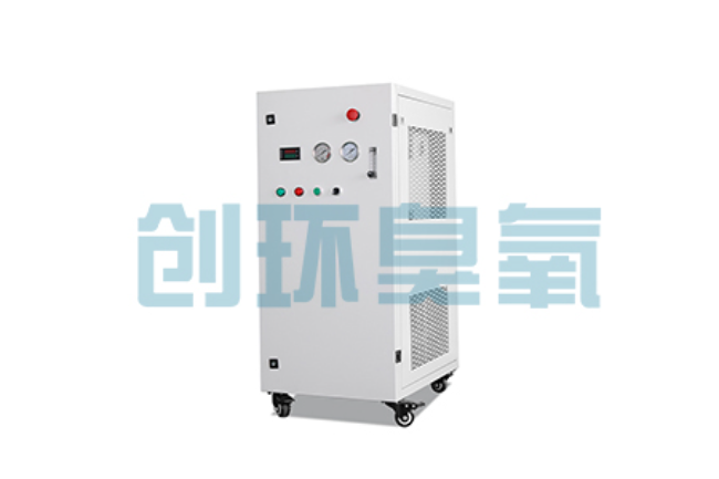 长治比传统换水更高效?臭氧发生器在石斑鱼养殖中的水质净化原理解析